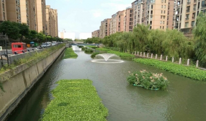 河道污水生态治理技术探讨