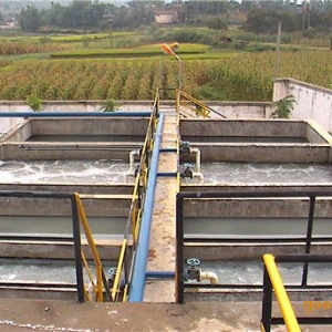 100t屠宰废水处理工程